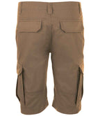 01660 Chestnut Back