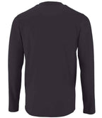 02074 Mouse Grey Back
