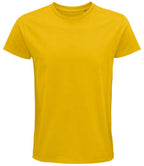 03565 Gold Front