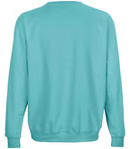 03814 Pool Blue Back