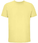 03981 Light Yellow Front