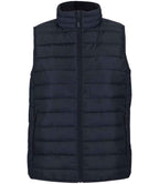 04021 French Navy Front
