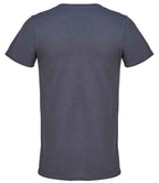 04728 Grey Back