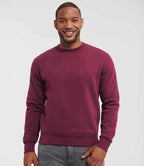 262M Burgundy Model