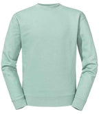 262M Eucalyptus Green Front