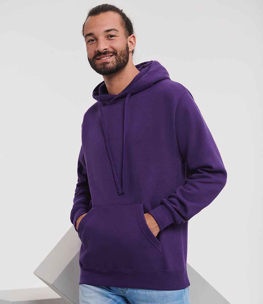 575M Purple Model