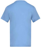 AT002 Cornflower Back