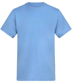 AT002 Cornflower Front
