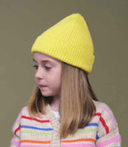 BB381B Lemon Model