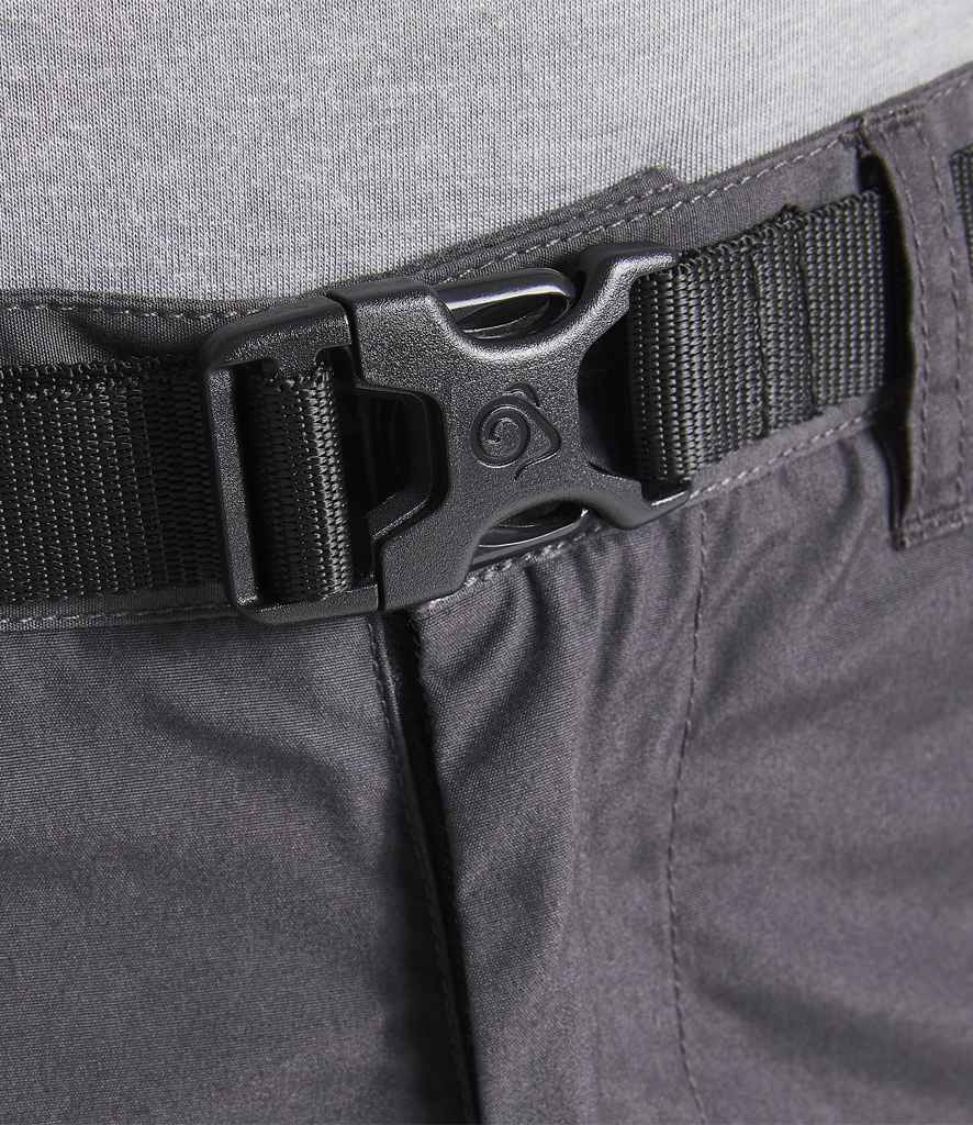 CR231 Carbon Grey Model