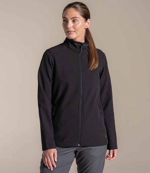CR339 Black Model