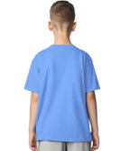 GD01B Carolina Blue Model