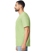 GD01 Pistachio Model
