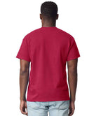 GD02 Cardinal Red Model