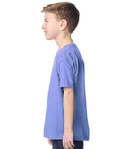 GD05B Violet Model