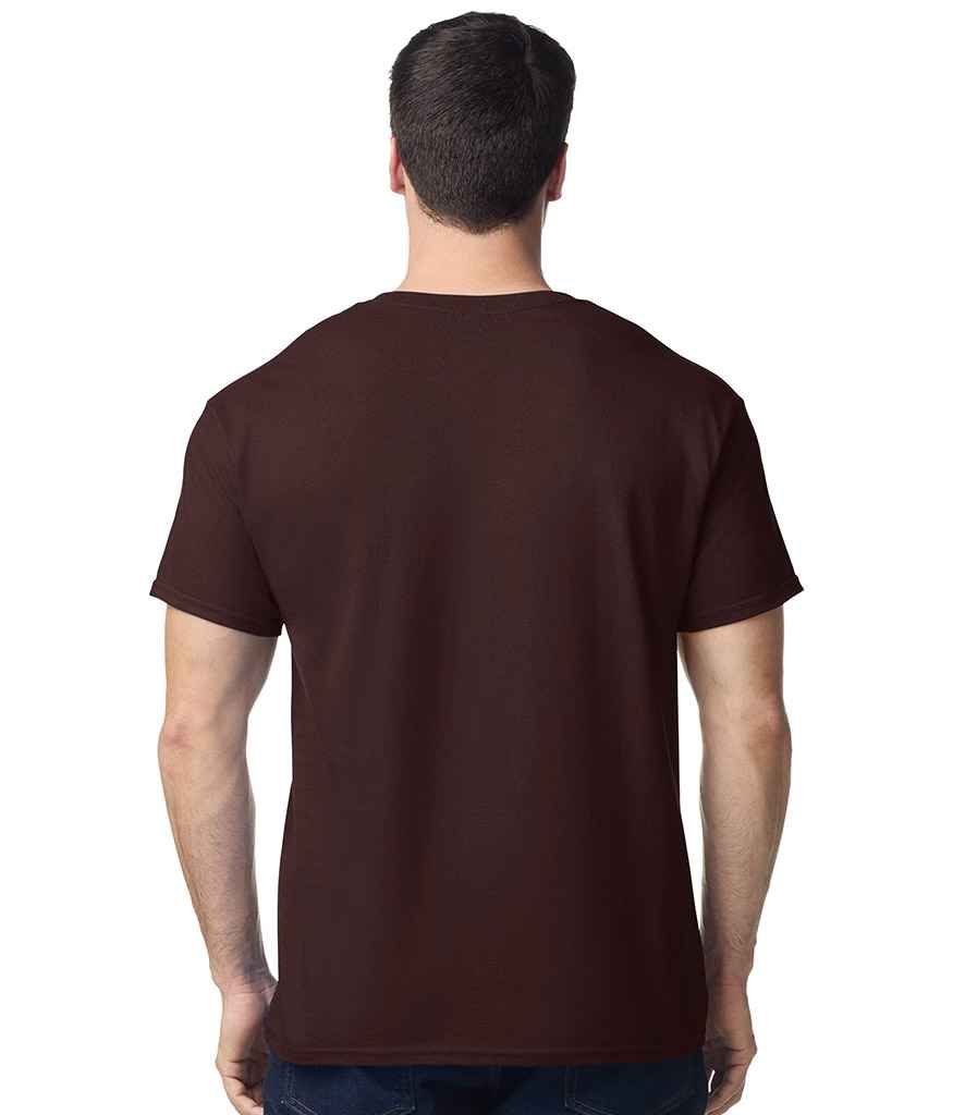 GD05 Dark Chocolate Model