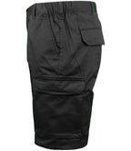 HL241 Black Left