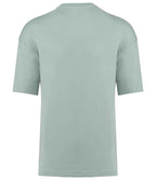 KB3008 Sage Back