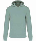 KB4029 Sage Front