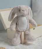 MM60 Light Brown Bunny Model