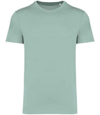 NS305 Jade Green Front