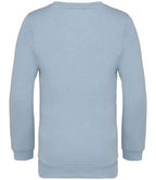NS403 Aquamarine Back