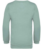NS403 Jade Green Back