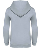 NS404 Aquamarine Back