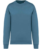 NS407 Adriatic Blue Front