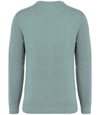 NS414 Washed Jade Green Back