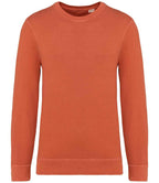 NS414 Washed Pomelo Front